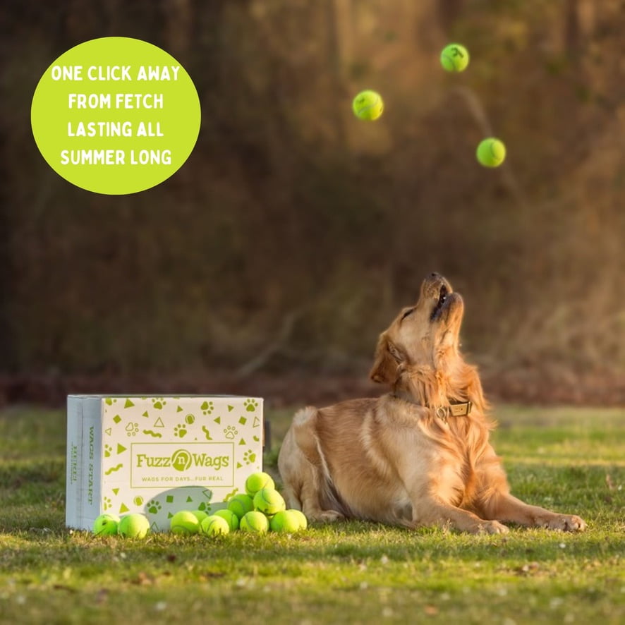 100 Tennis Balls Finished with the Courts, Now Ready for Your Dog’s Playtime: Support USA Tennis Ball Recycling NonProfit: Bulk 100 Tennis Balls for Dogs, Tennis Balls for Dogs Bulk,