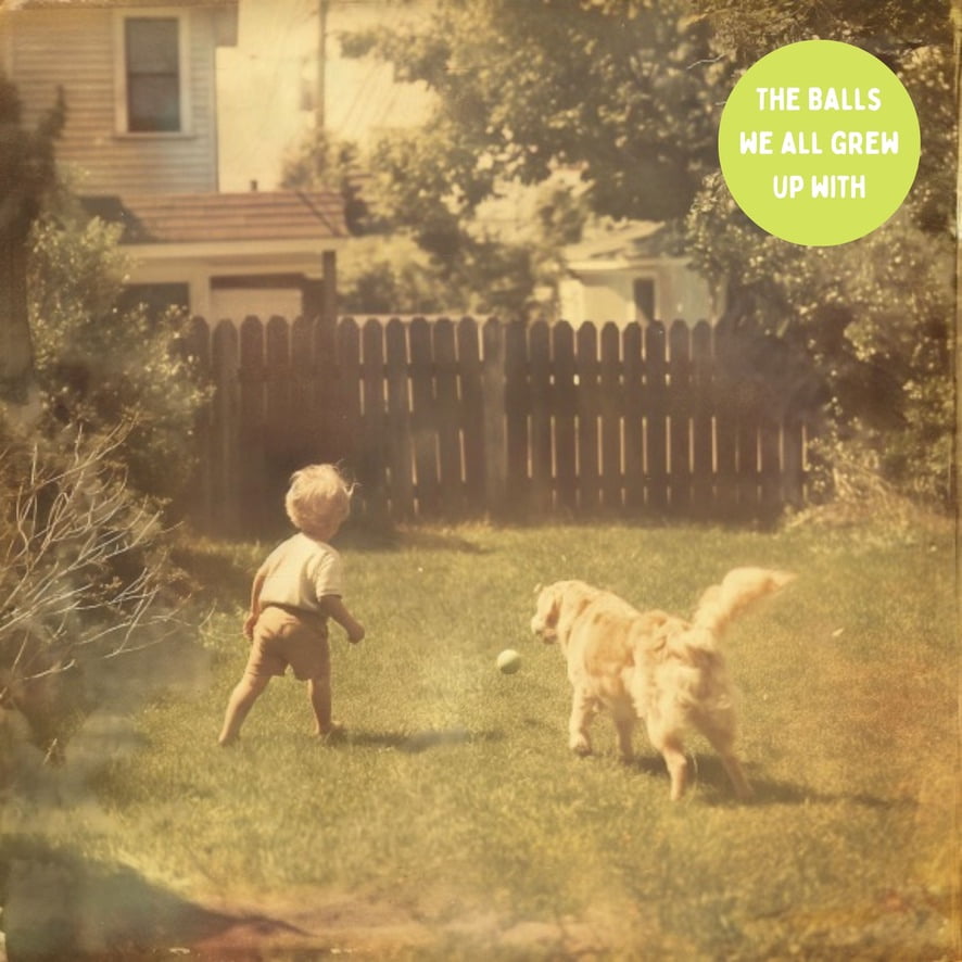 100 Tennis Balls Finished with the Courts, Now Ready for Your Dog’s Playtime: Support USA Tennis Ball Recycling NonProfit: Bulk 100 Tennis Balls for Dogs, Tennis Balls for Dogs Bulk,