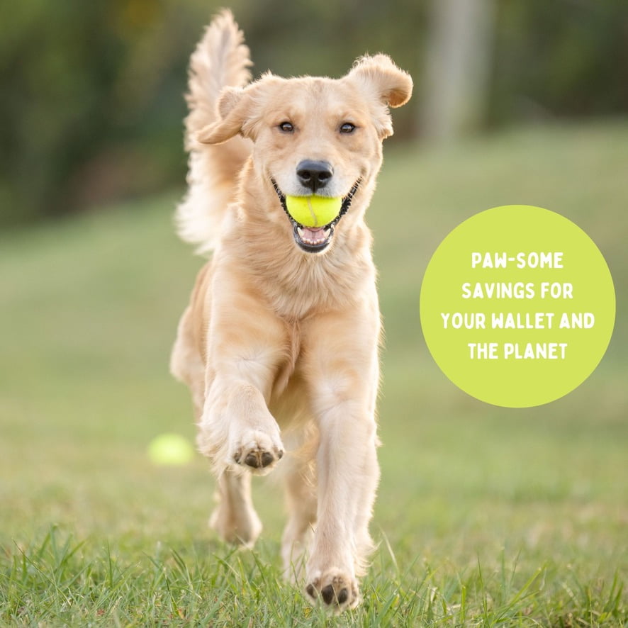 100 Tennis Balls Finished with the Courts, Now Ready for Your Dog’s Playtime: Support USA Tennis Ball Recycling NonProfit: Bulk 100 Tennis Balls for Dogs, Tennis Balls for Dogs Bulk,