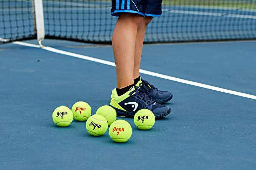 Penn Championship - Extra Duty Felt Pressurized Tennis Balls - 24 Cans, 72 Balls